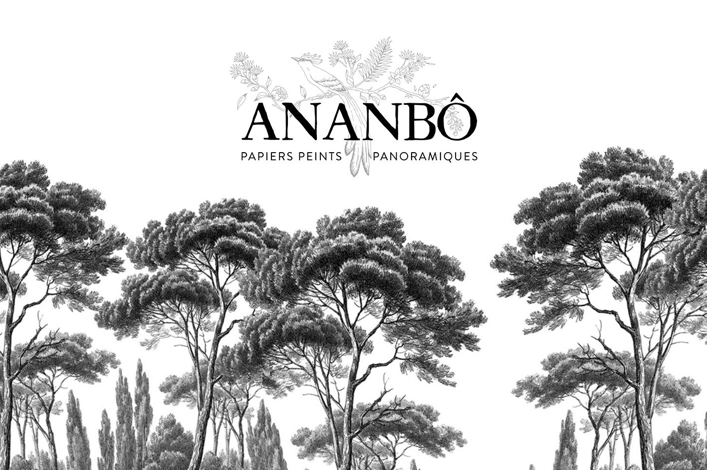 Access Base Sud a développer le site internet Ananbô, spécialisé dans le papier peint panoramique